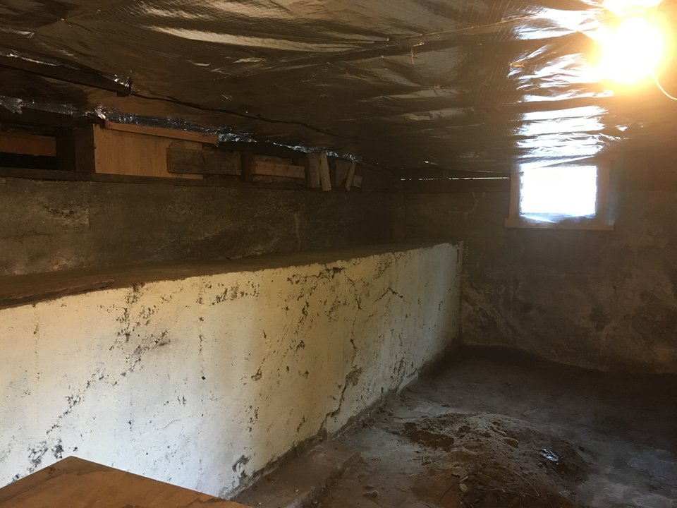 Photo of basement pit progress