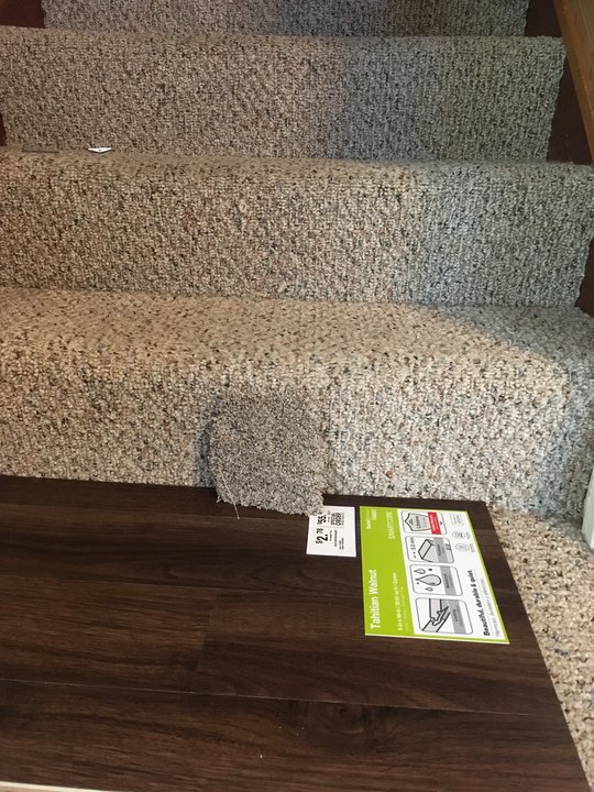 Photo of laminate floor and carpet samples